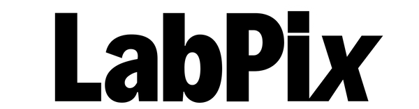 The logo for LabPix, featuring the brand name in bold black sans-serif lettering on a solid white background.