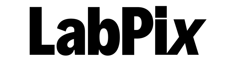 The logo for LabPix, featuring the brand name in bold black sans-serif lettering on a solid white background.