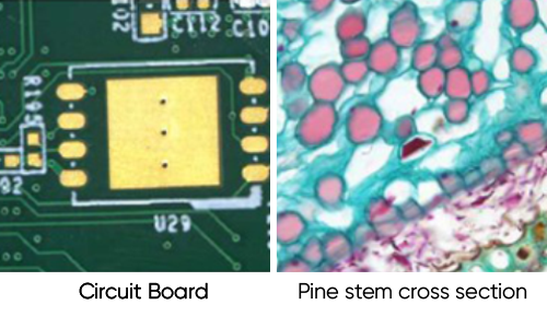 6MP USB 3.0 Microscope Camera
