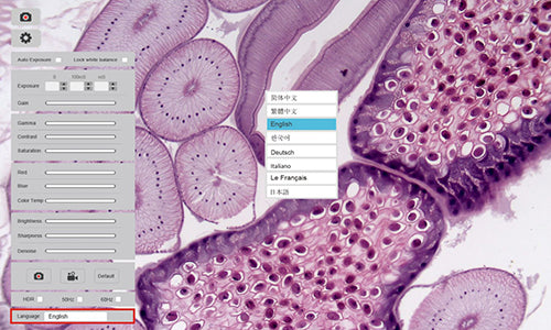 HD Plus HDMI Microscope Camera