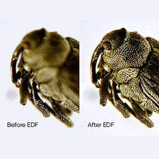 6MP USB 3.0 Microscope Camera